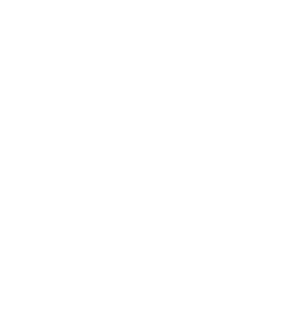 Mirela Logo